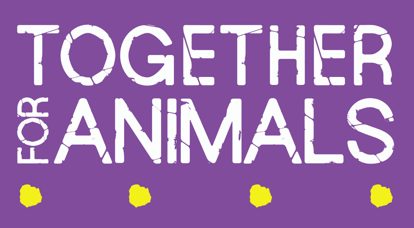 Charity Spotlight: Together for Animals | GoodPAYE