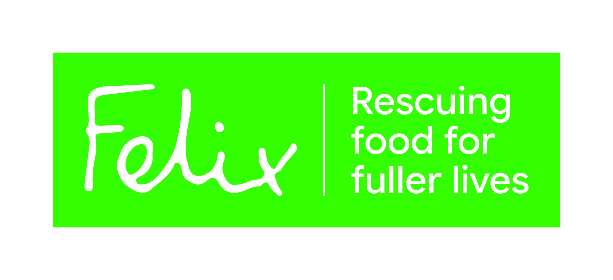 FEL Logo Strapline Linear CMYK