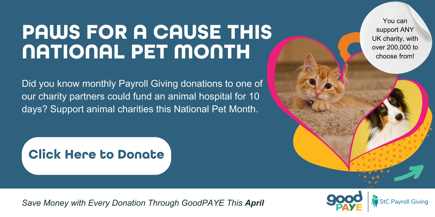 StC April 2026 National Pet Month